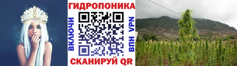 Шишки марихуана Amnesia Ладушкин